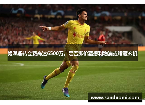 努涅斯转会费高达6500万，是否涨价猜想利物浦或暗藏玄机